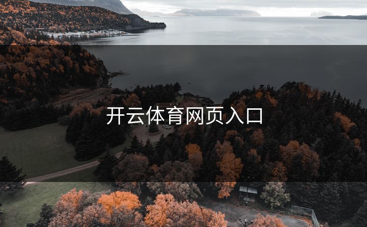 开云体育网页入口